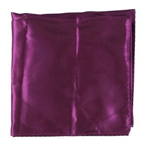 Tags Weekly Mens Solid Pocket Square, NWT